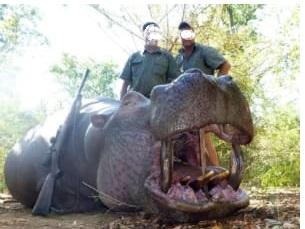 Leopard Hunting in Namibia & Brown Hyena Cancelation Hunt