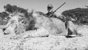 Leopard Hunting in Namibia & Brown Hyena Cancelation Hunt