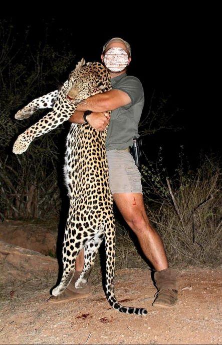 Leopard Hunting in 