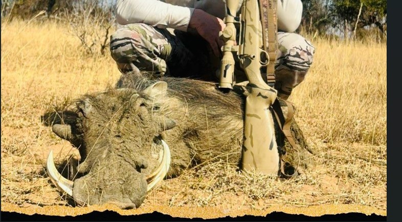 Leopard Hunting in Namibia & Brown Hyena Cancelation Hunt