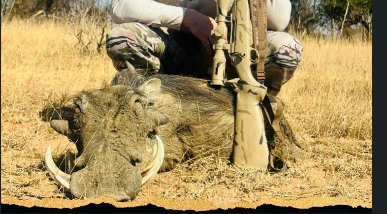 Leopard Hunting in Namibia & Brown Hyena Cancelation Hunt