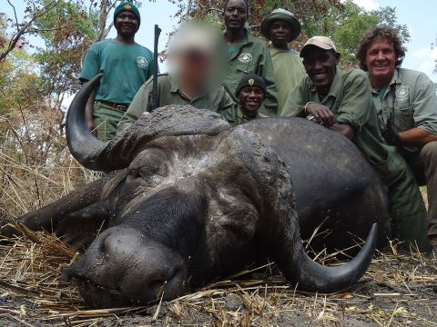 Cape Buffalo Hunt 2 x 1 in the Selous Reserve