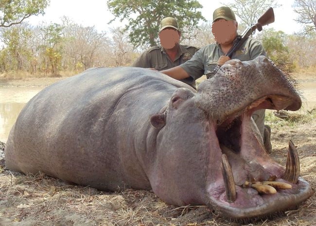 Leopard Hunting in Namibia & Brown Hyena Cancelation Hunt
