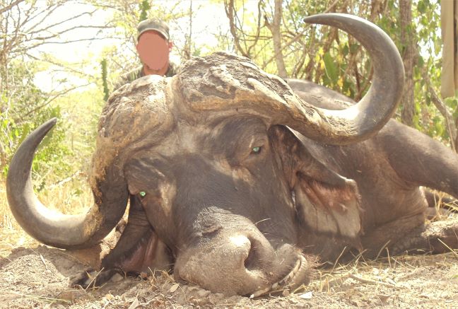 Leopard Hunting in Namibia & Brown Hyena Cancelation Hunt