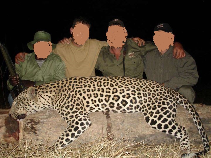 Leopard Hunting in Namibia & Brown Hyena Cancelation Hunt