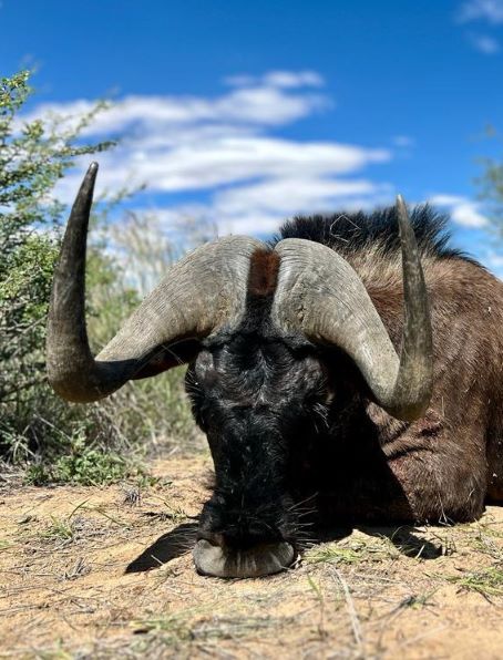 Leopard Hunting in Namibia & Brown Hyena Cancelation Hunt