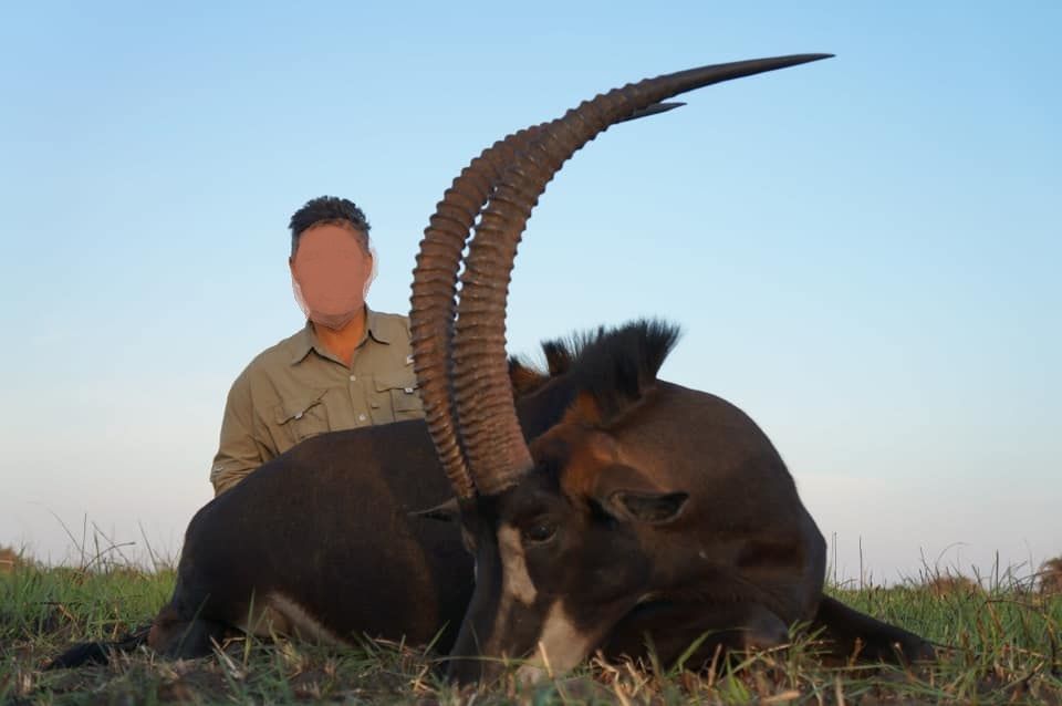 Leopard Hunting in Namibia & Brown Hyena Cancelation Hunt