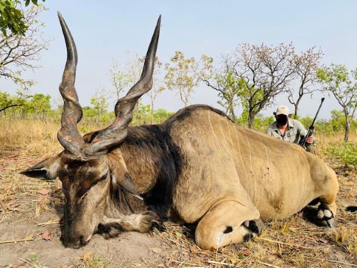 Leopard Hunting in Namibia & Brown Hyena Cancelation Hunt