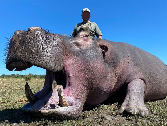 Hunt in South Africa, Hippo, Crocodile, Hyena & 6 More Species