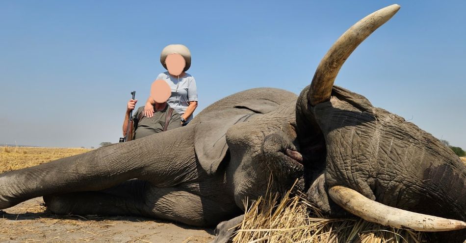 Leopard Hunting in Namibia & Brown Hyena Cancelation Hunt
