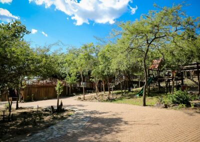 Leopard Hunting in Namibia & Brown Hyena Cancelation Hunt