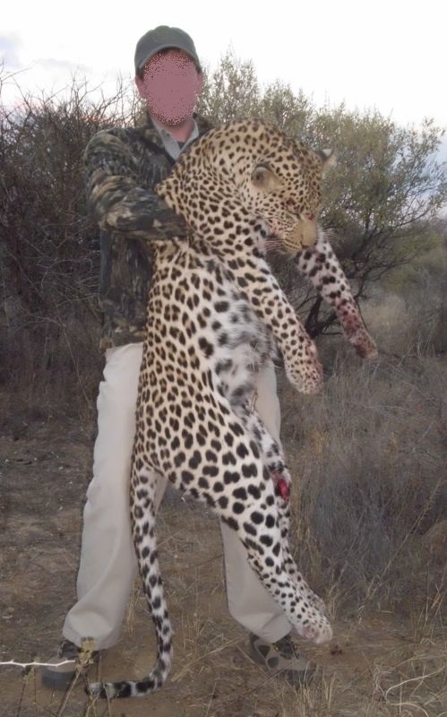 Trophy Leopard hunting in Namibia Cancelation Hunt