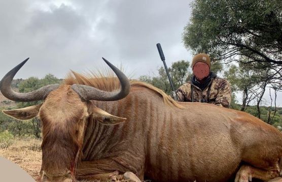 Leopard Hunting in Namibia & Brown Hyena Cancelation Hunt
