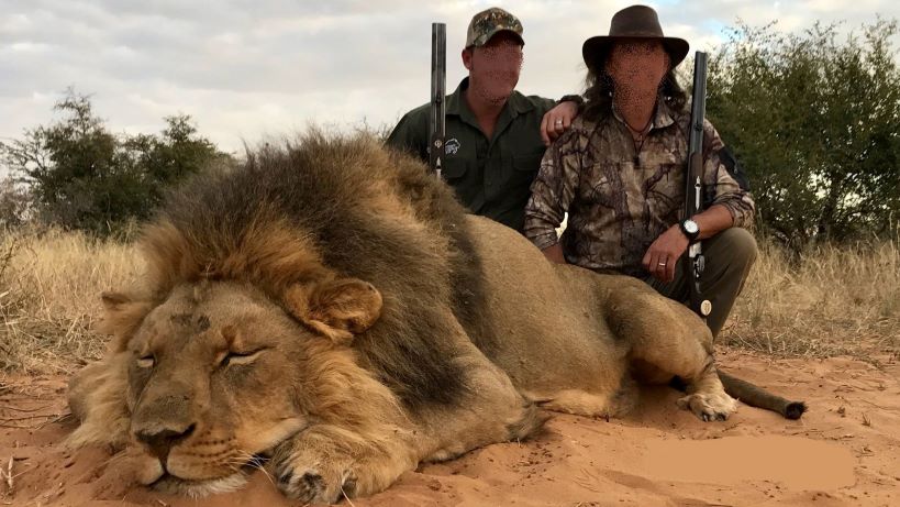 Leopard Hunting in Namibia & Brown Hyena Cancelation Hunt