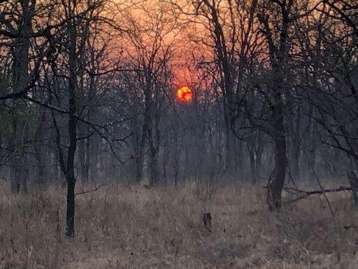 Leopard Hunting in Namibia & Brown Hyena Cancelation Hunt