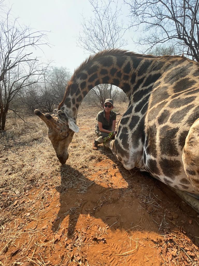 Leopard Hunting in Namibia & Brown Hyena Cancelation Hunt