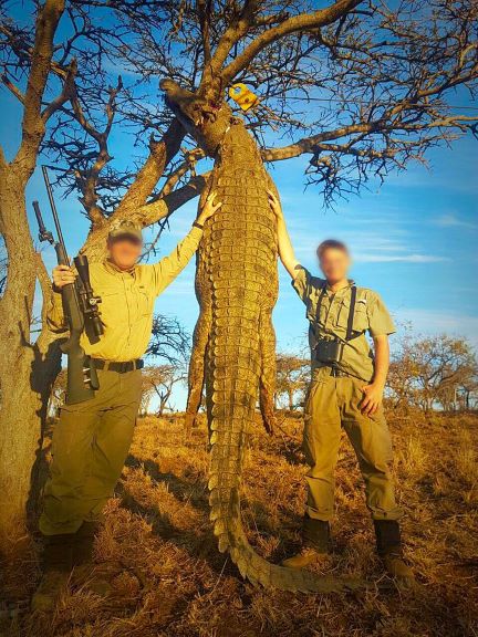 Leopard Hunting in Namibia & Brown Hyena Cancelation Hunt