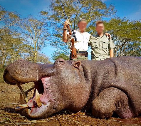 Leopard Hunting in Namibia & Brown Hyena Cancelation Hunt