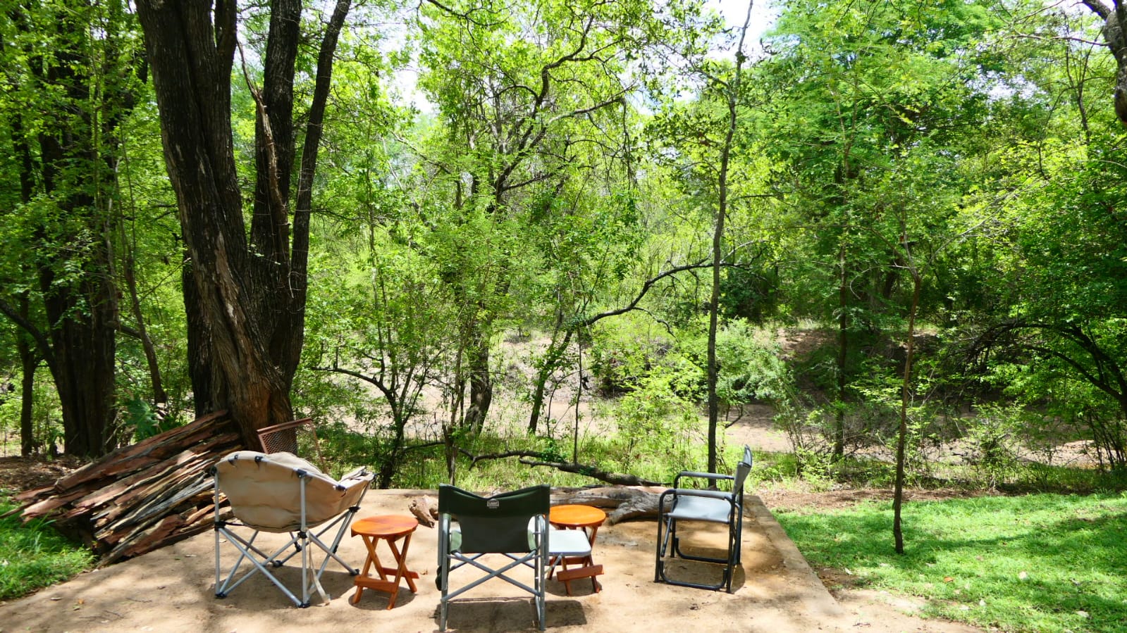 Leopard Hunting in Namibia & Brown Hyena Cancelation Hunt