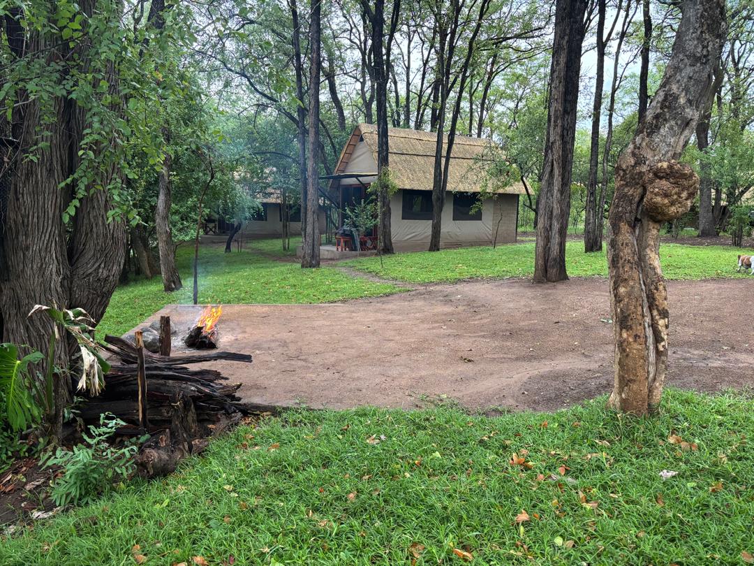 Leopard Hunting in Namibia & Brown Hyena Cancelation Hunt