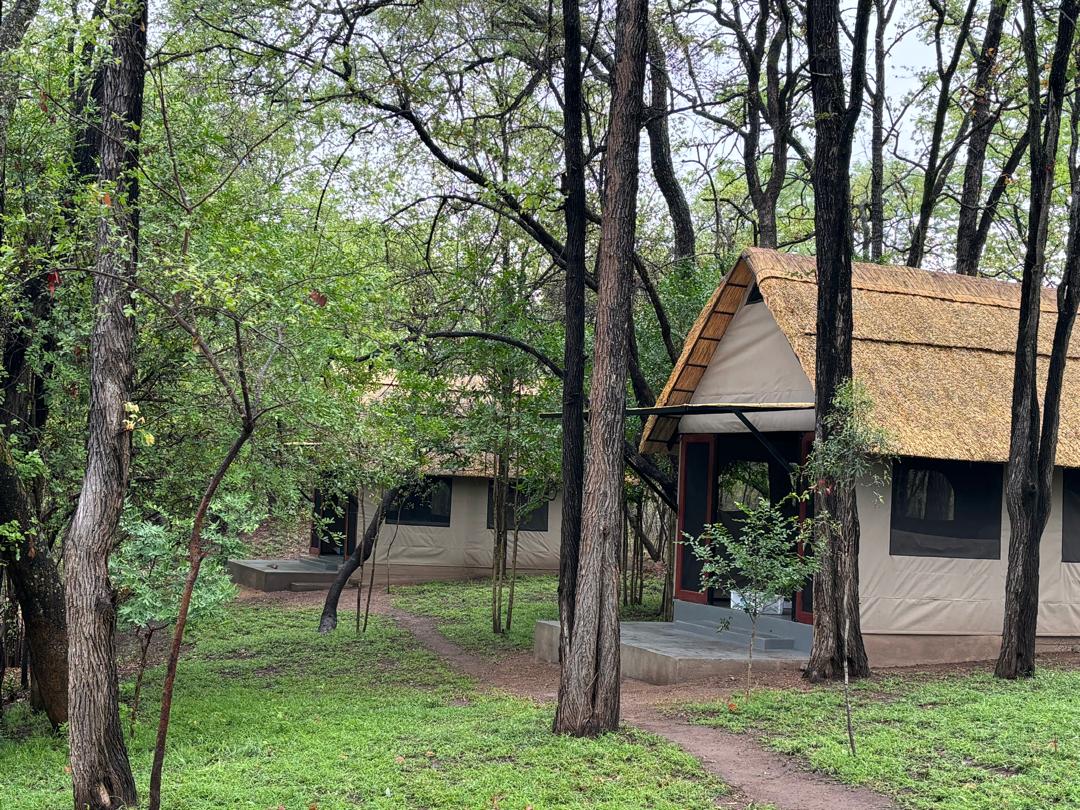 Leopard Hunting in Namibia & Brown Hyena Cancelation Hunt