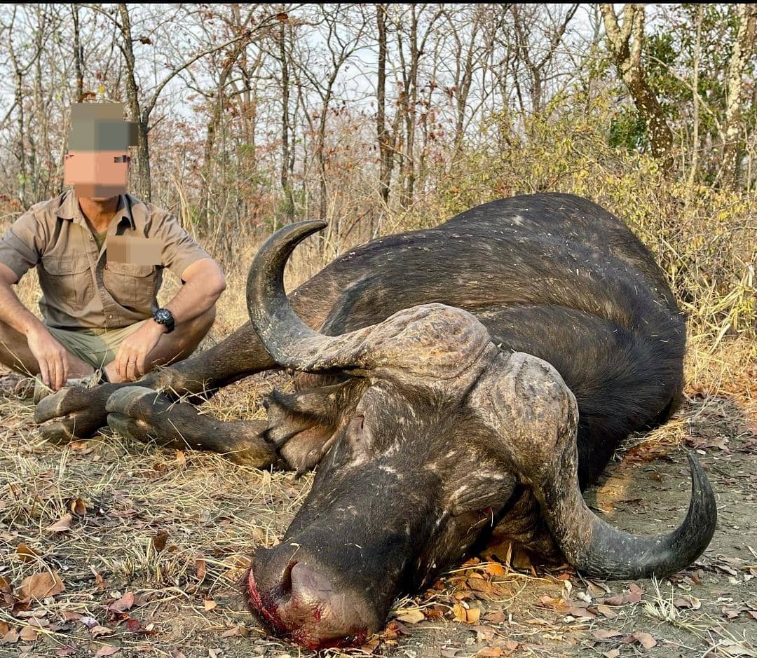 Leopard Hunting in Namibia & Brown Hyena Cancelation Hunt