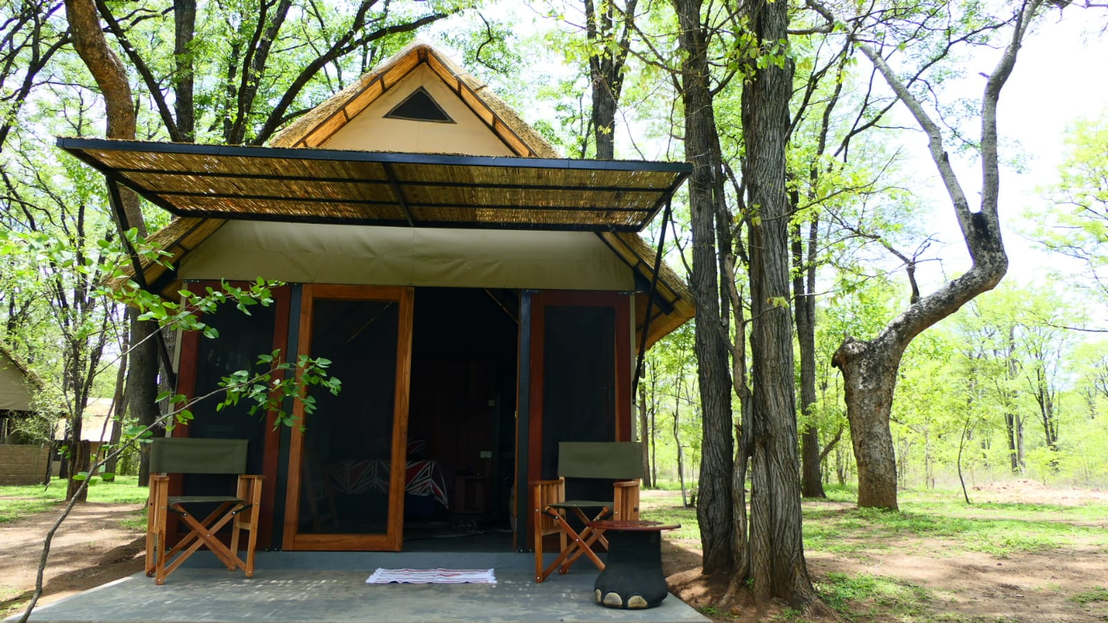 Leopard Hunting in Namibia & Brown Hyena Cancelation Hunt