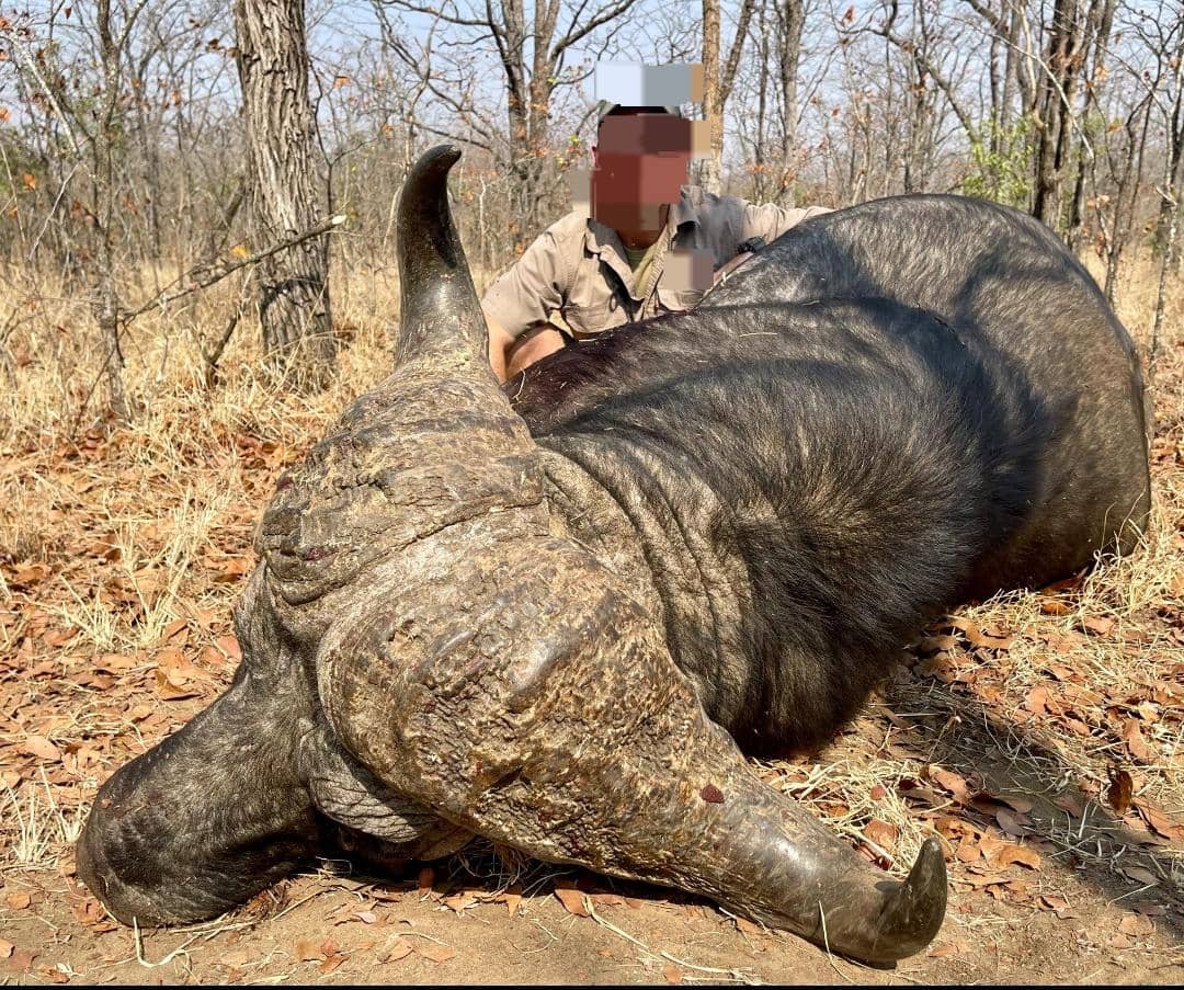 Leopard Hunting in Namibia & Brown Hyena Cancelation Hunt