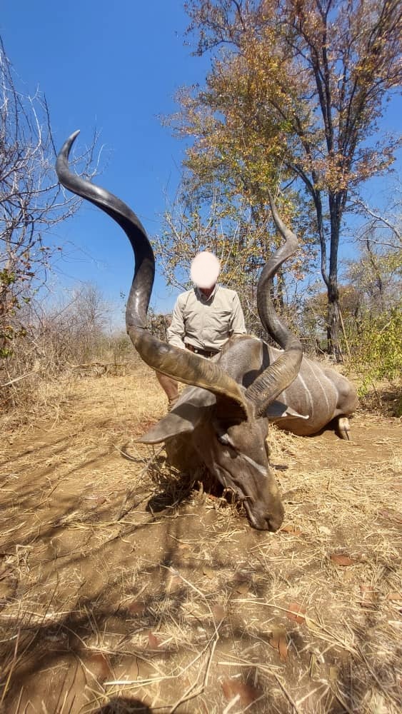 Leopard Hunting in Namibia & Brown Hyena Cancelation Hunt