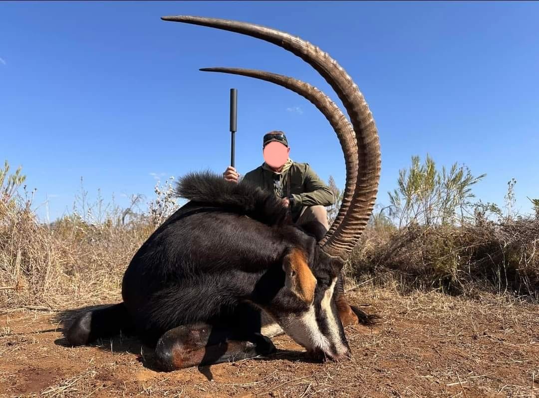 Leopard Hunting in Namibia & Brown Hyena Cancelation Hunt