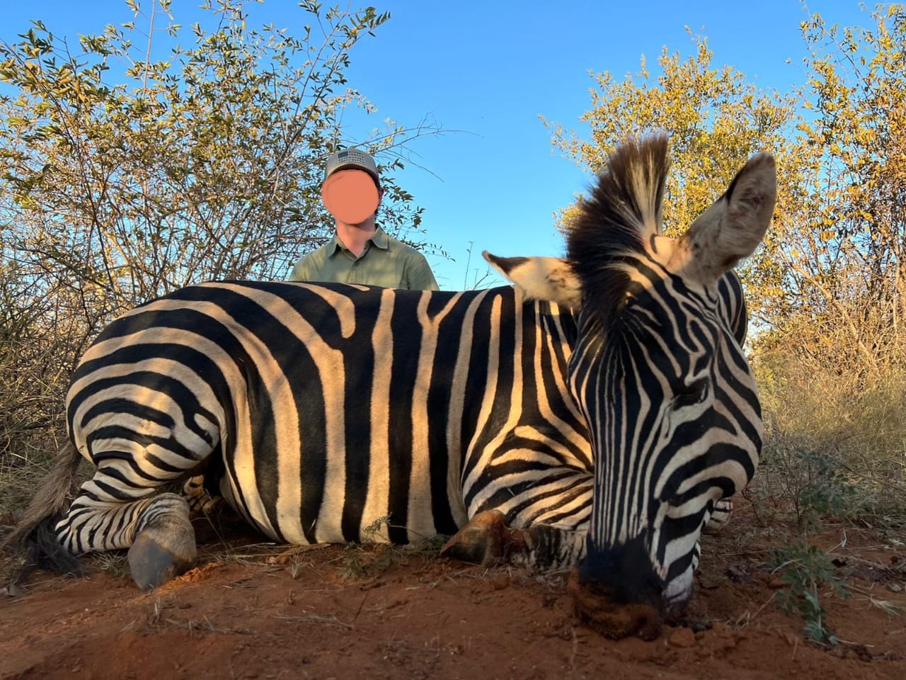 Leopard Hunting in Namibia & Brown Hyena Cancelation Hunt
