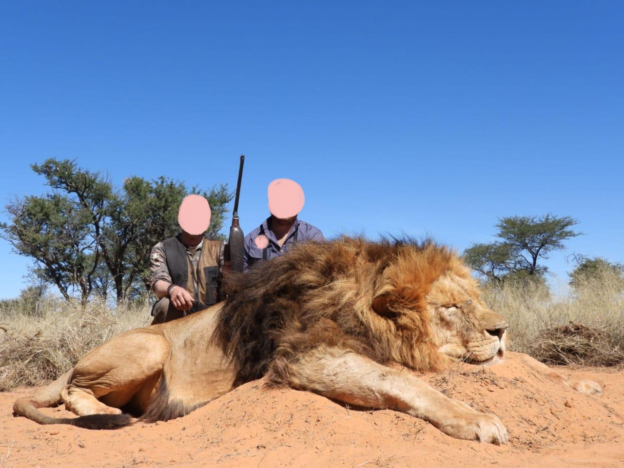 Leopard Hunting in Namibia & Brown Hyena Cancelation Hunt