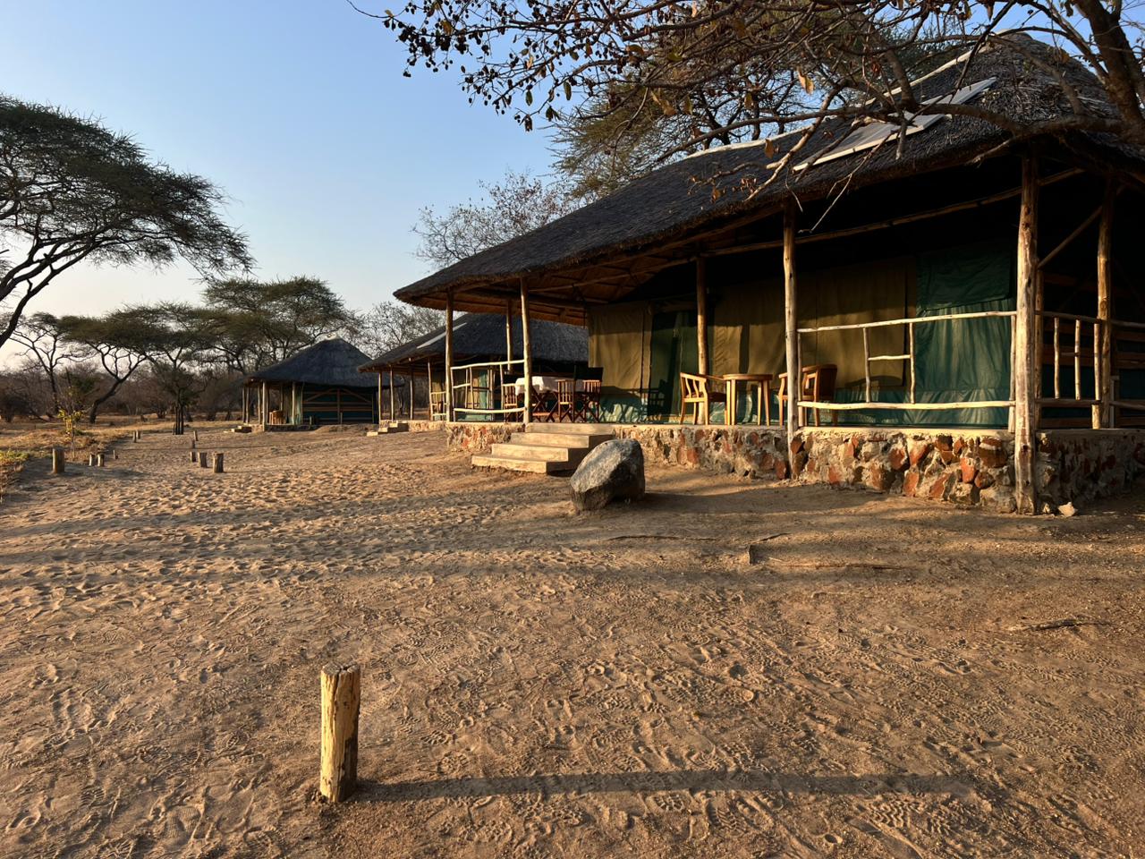 Leopard Hunting in Namibia & Brown Hyena Cancelation Hunt