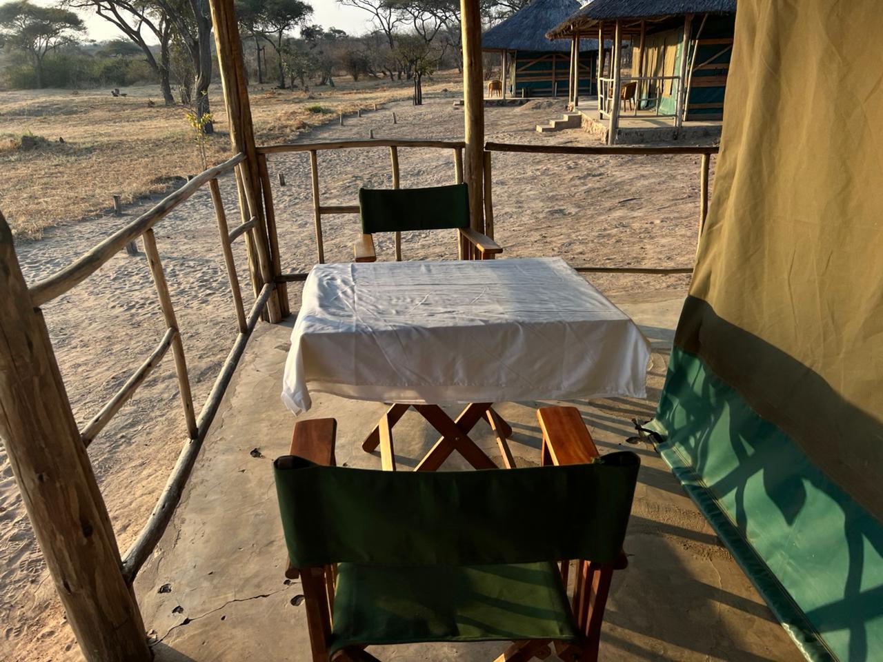 Leopard Hunting in Namibia & Brown Hyena Cancelation Hunt