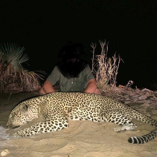 Leopard Hunting in Namibia & Brown Hyena Cancelation Hunt