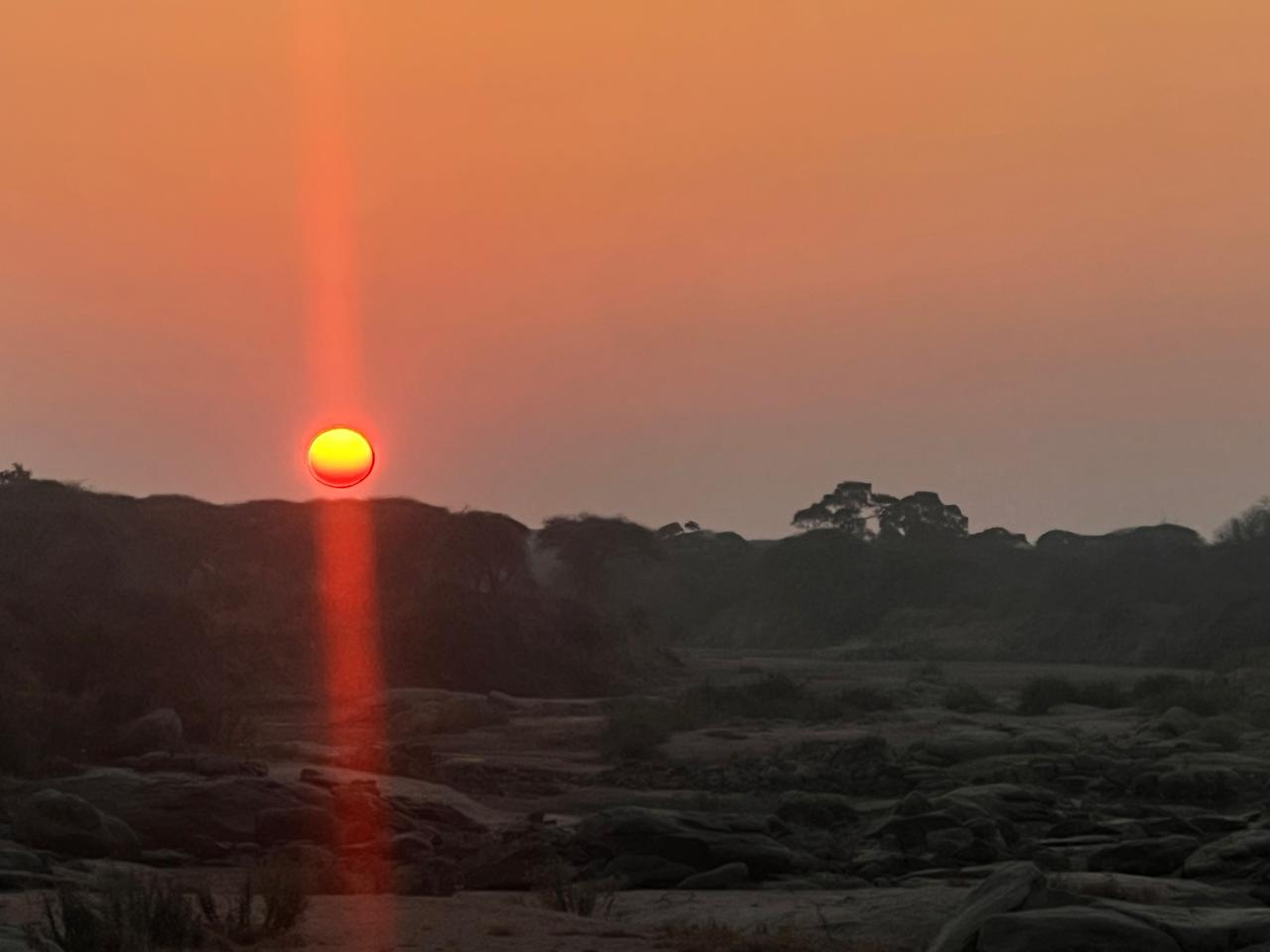 Leopard Hunting in Namibia & Brown Hyena Cancelation Hunt