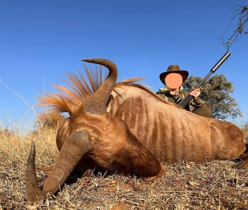 Leopard Hunting in Namibia & Brown Hyena Cancelation Hunt