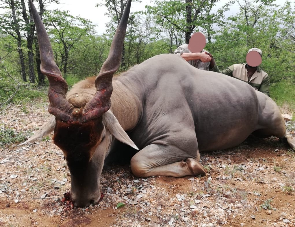 Leopard Hunting in Namibia & Brown Hyena Cancelation Hunt