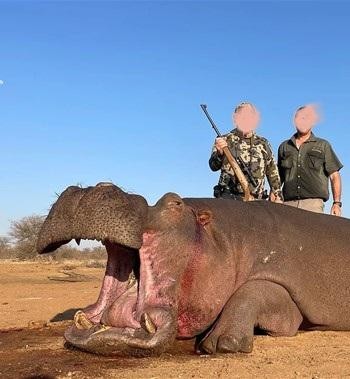 Leopard Hunting in Namibia & Brown Hyena Cancelation Hunt