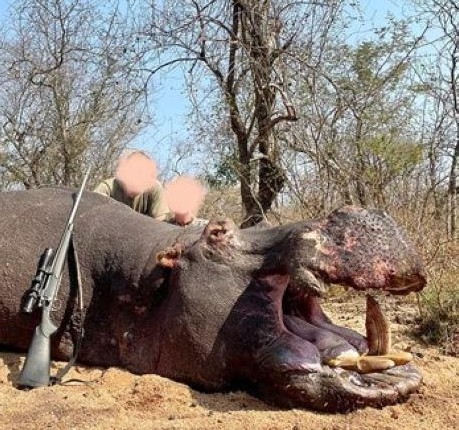 Leopard Hunting in Namibia & Brown Hyena Cancelation Hunt