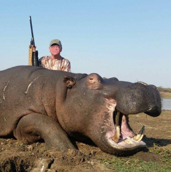 Leopard Hunting in Namibia & Brown Hyena Cancelation Hunt