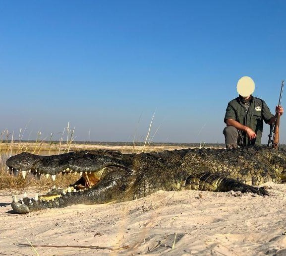 Leopard Hunting in Namibia & Brown Hyena Cancelation Hunt