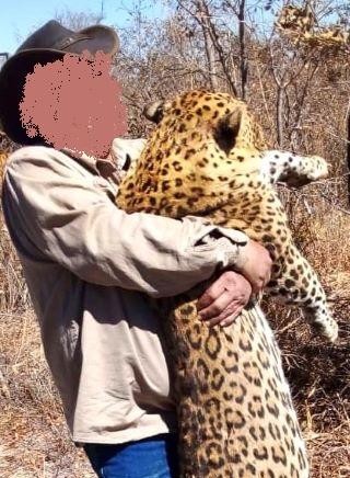 Leopard Hunting in Namibia & Brown Hyena Cancelation Hunt