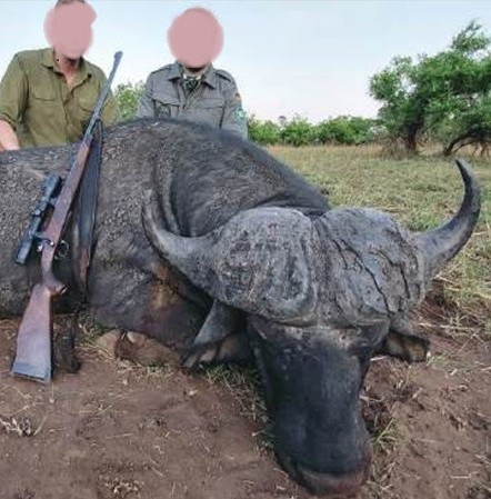 Leopard Hunting in Namibia & Brown Hyena Cancelation Hunt