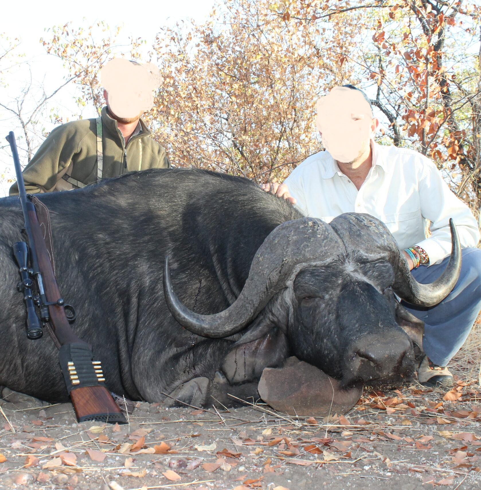 Cape Buffalo hunt in Mozambique's Niassa Province