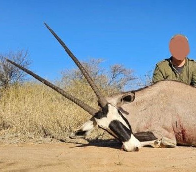 Leopard Hunting in Namibia & Brown Hyena Cancelation Hunt