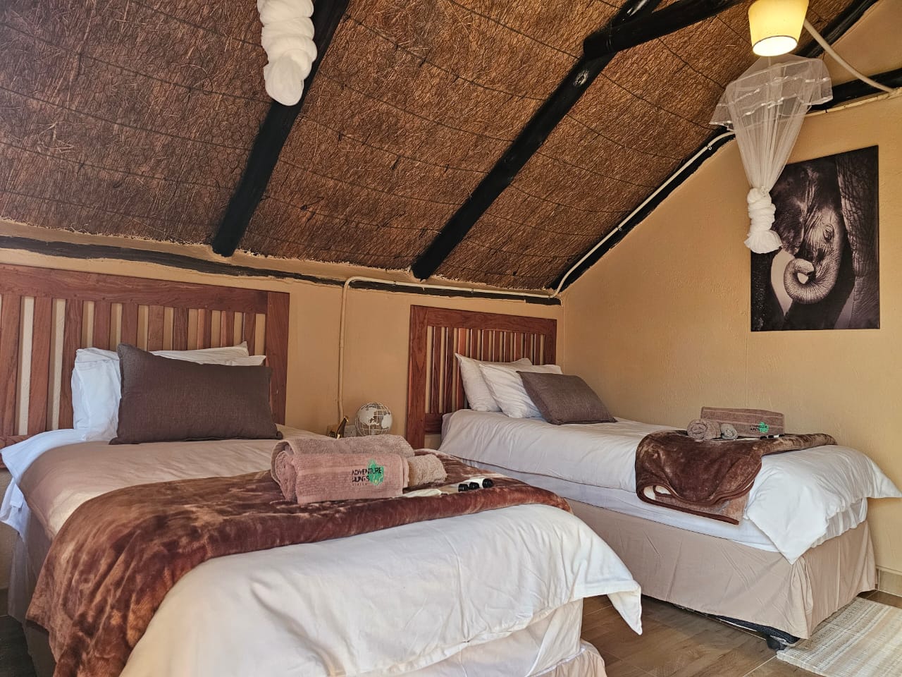 Leopard Hunting in Namibia & Brown Hyena Cancelation Hunt