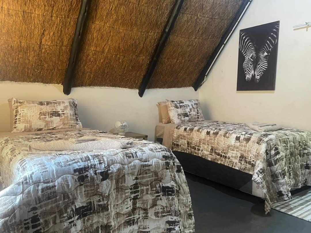 Leopard Hunting in Namibia & Brown Hyena Cancelation Hunt