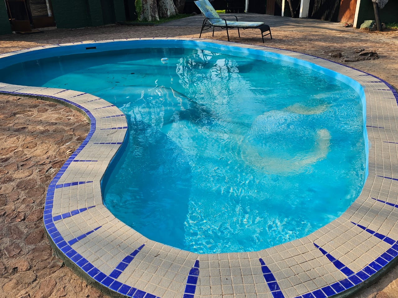 Leopard Hunting in Namibia & Brown Hyena Cancelation Hunt