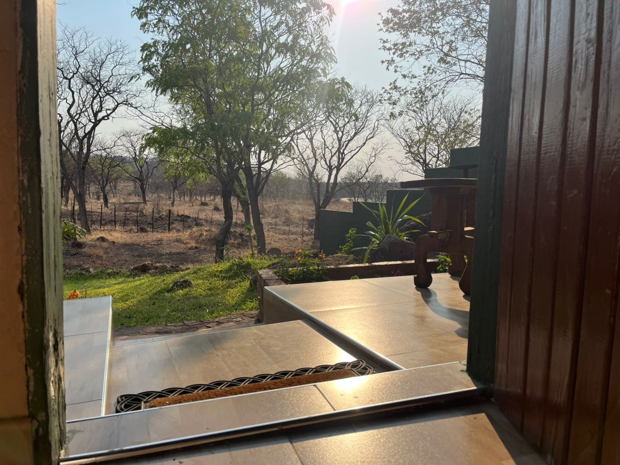 Leopard Hunting in Namibia & Brown Hyena Cancelation Hunt